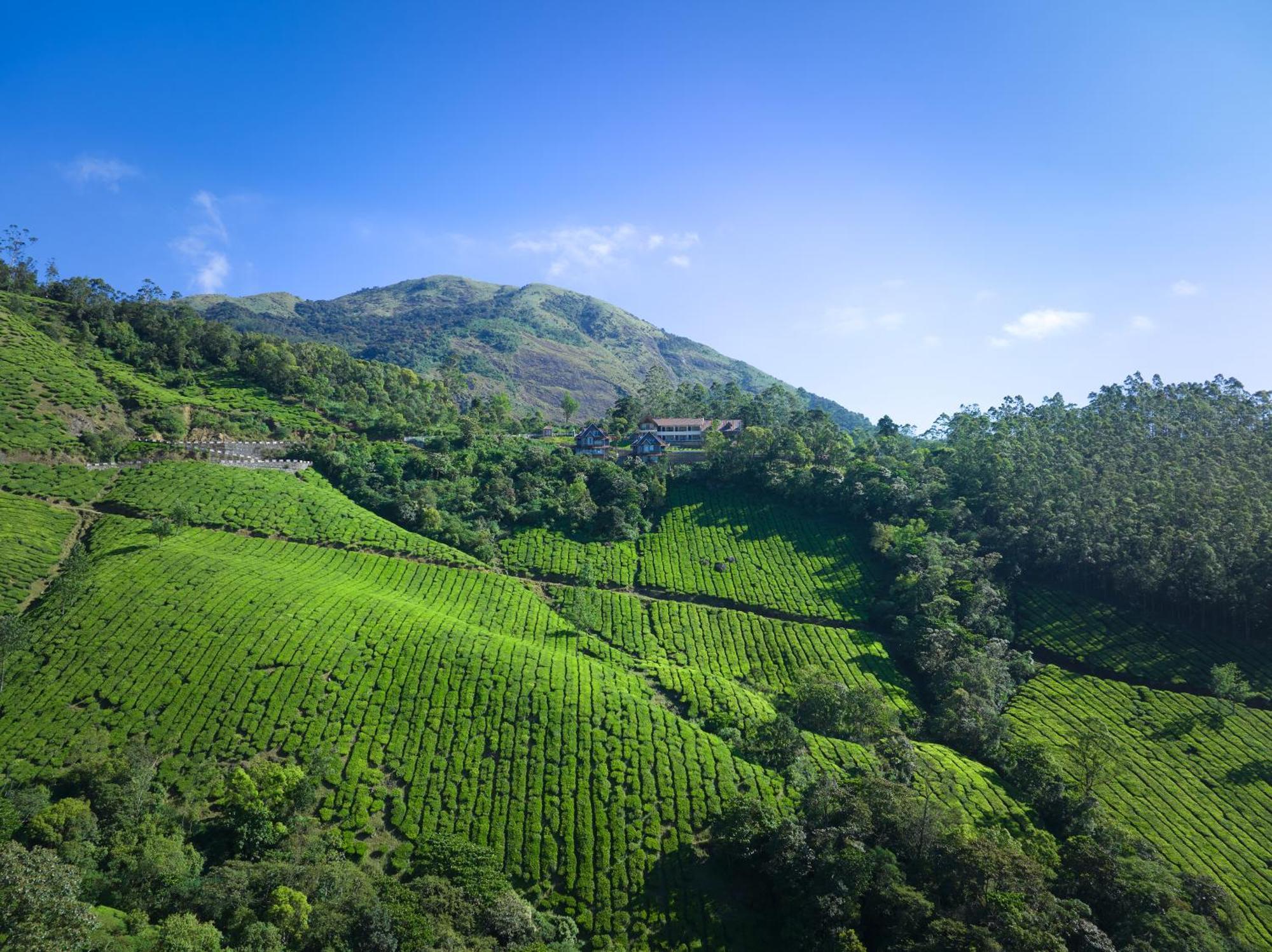 The Planet Munnar Hotel Suryanelli Ngoại thất bức ảnh